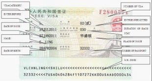 China Visa Types
